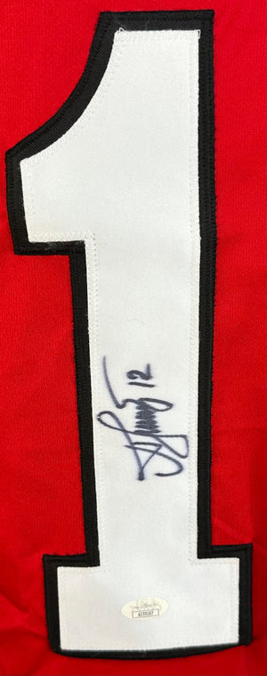 Alexei Ponikarovsky signed jersey autographed NHL New Jersey Devils JSA COA