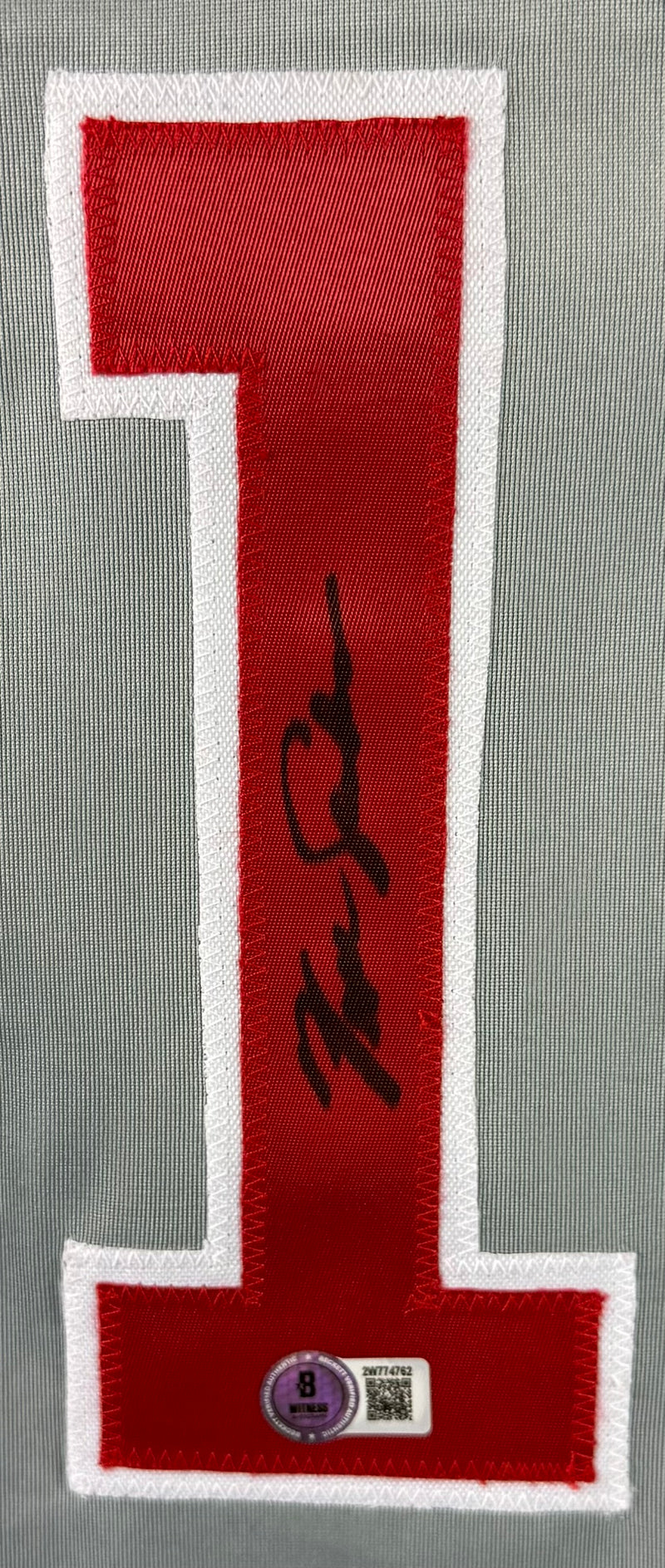 FERGIE JENKINS AUTOGRAPHED SIGNED CUSTOM GREY PRO STYLE JERSEY BAS