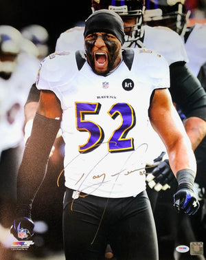 Ray Lewis Autographed 16x20 Photo NFL Baltimore Ravens PSA w/COA - JAG Sports Marketing